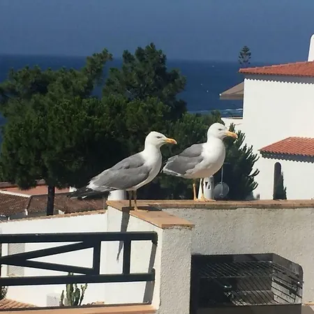 Casa Sobre O Mar 아파트